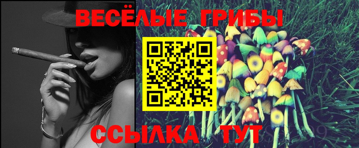 Галлюциногенные грибы Psilocybine cubensis  Вход с VPN  Псилоцибиновые грибы Psilocybe  Рыбинск 